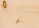 s38_2154.png